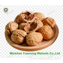 fresh taste sweet and crunchy Walnut Kernels Pieces